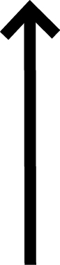 04_WDC_Performance Highlights_arrow up.jpg