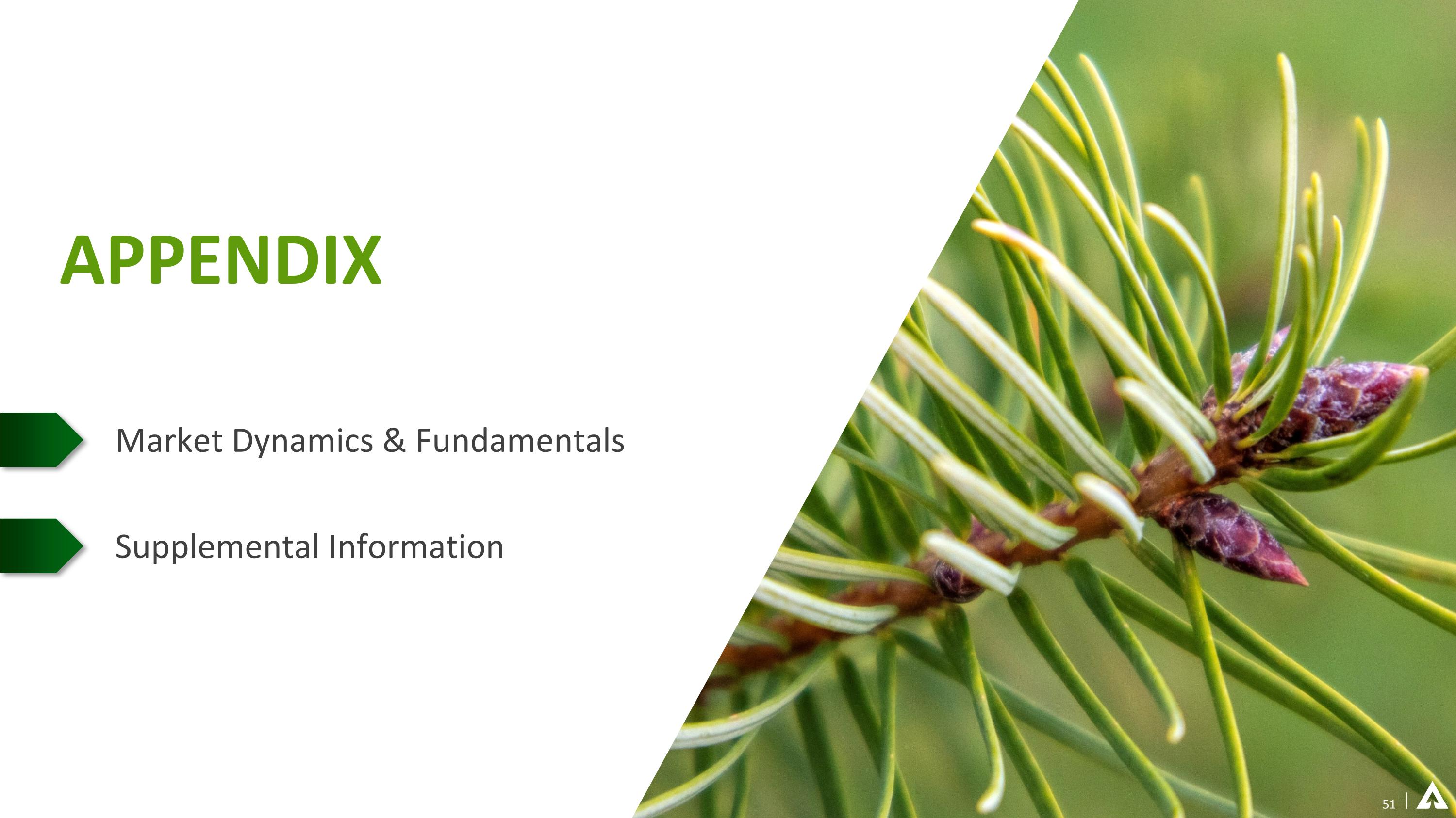 Slide 51 Slide 51