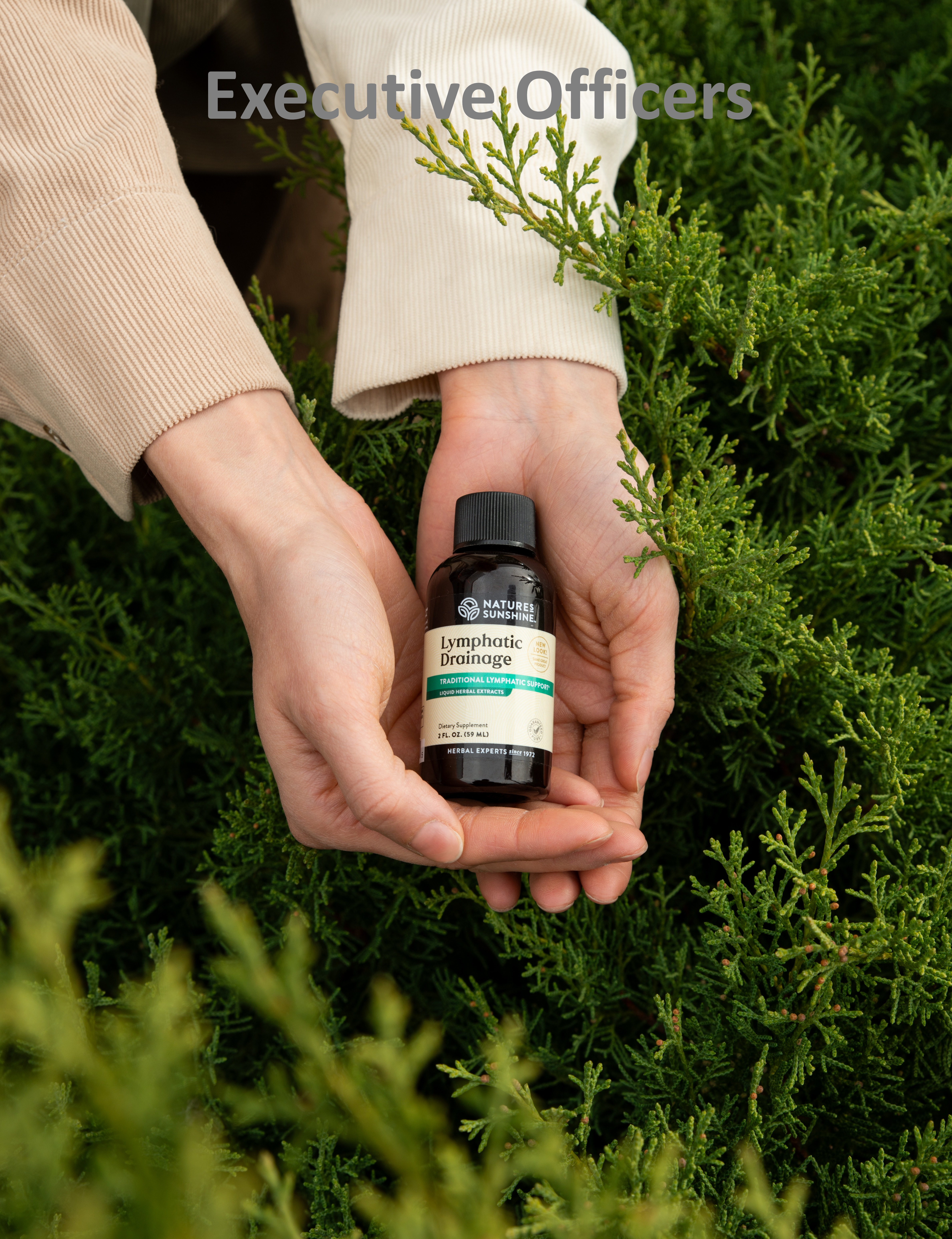 lymphatic_drainage_KP-3 (MEL).jpg