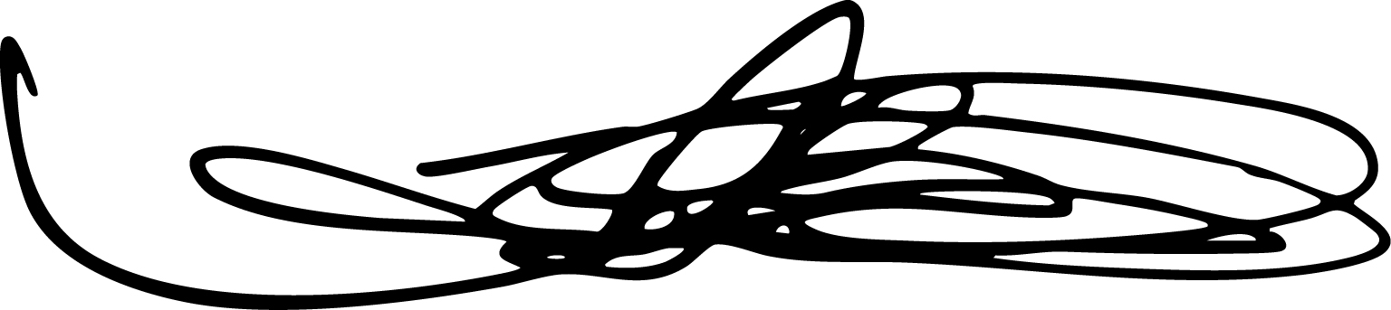 05 437958-1_signature_chow.jpg