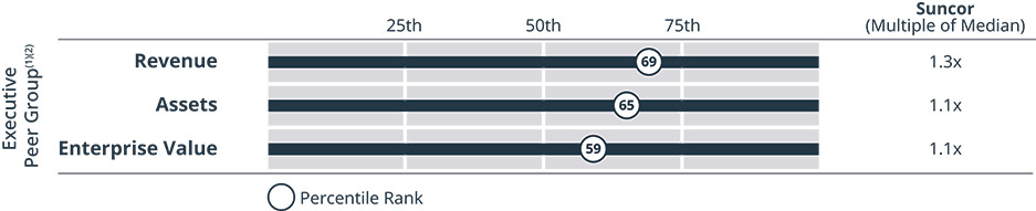 [MISSING IMAGE: bc_peergroup-pn.jpg]