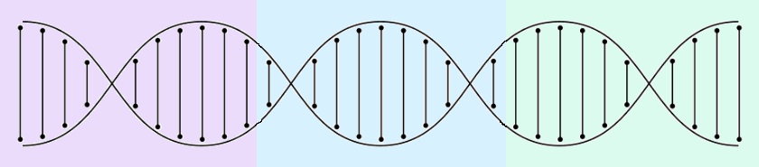 DNA.jpg