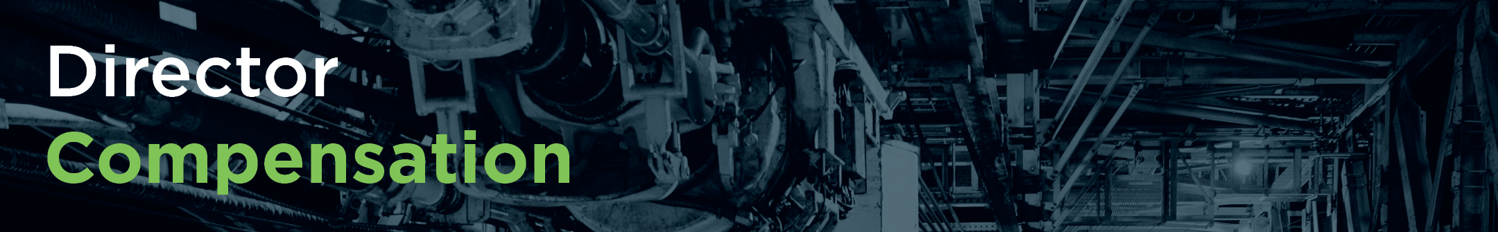 gfx_T1 banners_directorcomp.jpg
