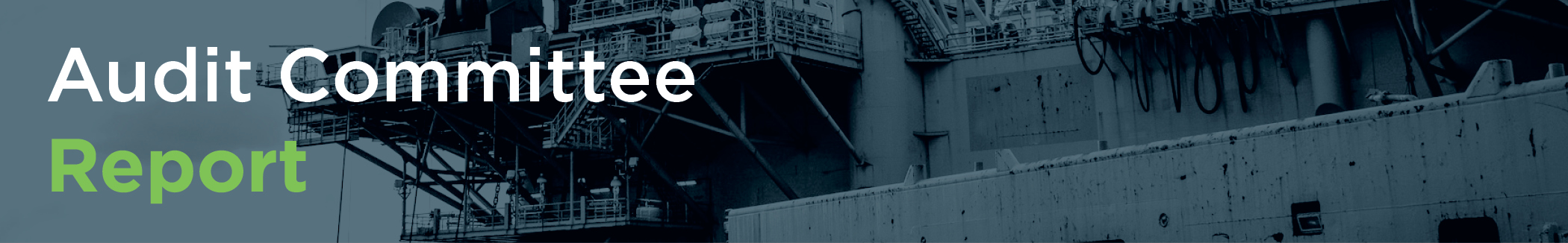 04 PRO013633_T1 banners_audit1.jpg