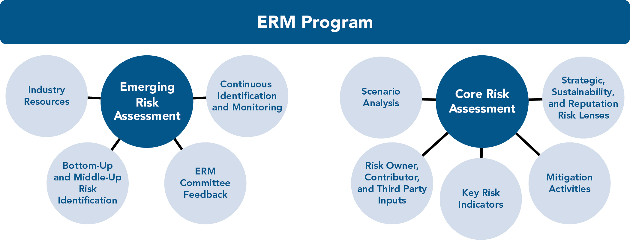 Risk_Assessment_Process_ERM Program w-Circles 1.jpg