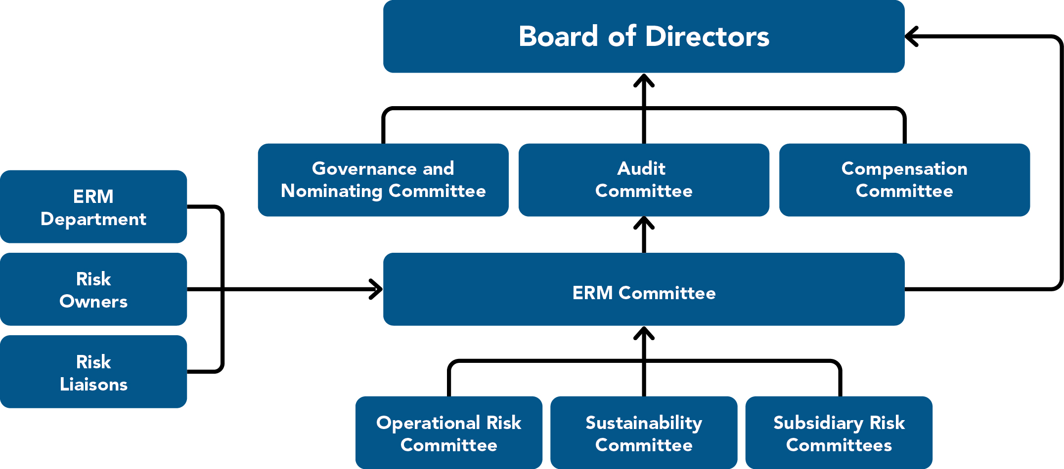 Risk Reporting Structure Graphic 1.jpg