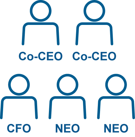 Benchmarking Approach for Our Co-CEOs_GL CEO Structure.jpg