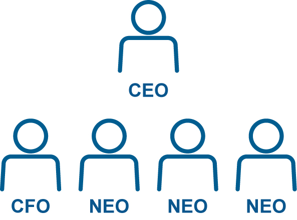 Benchmarking Approach for Our Co-CEOs_Peers CEO Structure.jpg