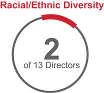 [MISSING IMAGE: pc_ethnicdiversity-pn.jpg]