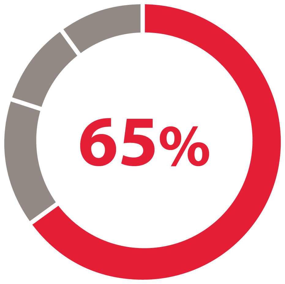 03_432963-1_pie_adjusted non-GAAP_03_432963-1_pie_GAAP_A.jpg