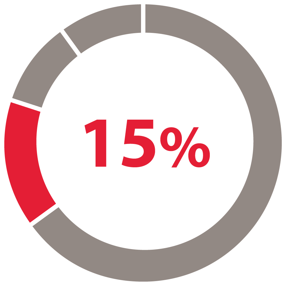 03_432963-1_pie_adjusted non-GAAP_03_432963-1_pie_GAAP_B.jpg