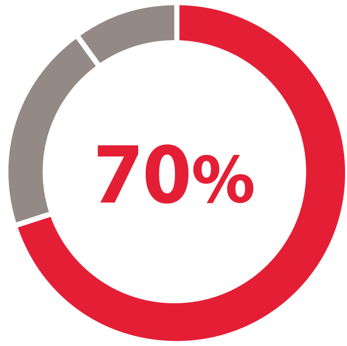 03_432963-1_pie_FISCAL 2021 adjusted non-GAAP_03_432963-1_pie_fiscal-nonGAAp-2.jpg
