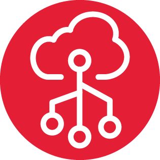 02 432963-1_icon_director_skills_matrix_gray bg_02 432963-1_icon_information technology copy.jpg