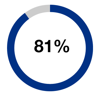 piechart_sayonpay 81%.jpg