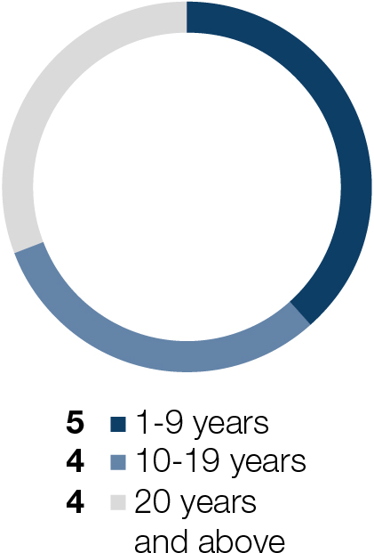 03_PRO013390_piechart_boardshot_03_PRO013390_piechart_Age_03_PRO013390_piechart_Tenure.jpg