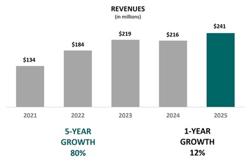 revenuegraphscaledupdated.jpg