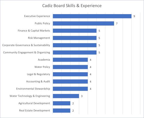 cadizboardskills.jpg