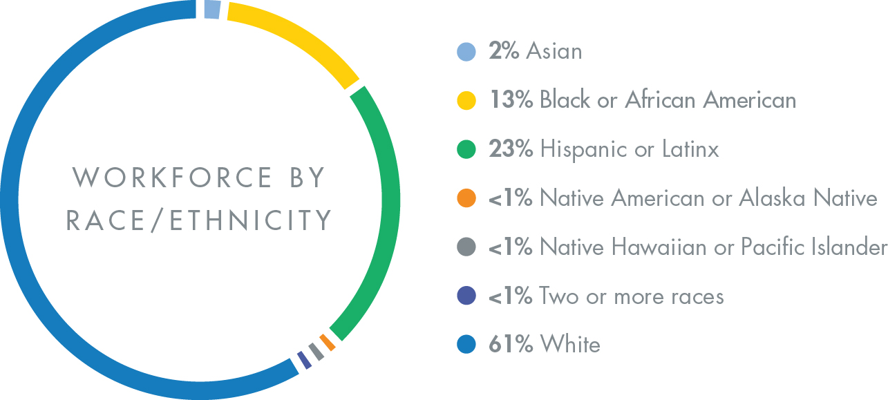 Workforce_Overall_Workforce_Ethnicity_2025.jpg