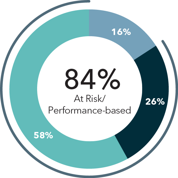 03_pies_our-comp-structure_03_pie_our-comp-structure_other NEO.jpg