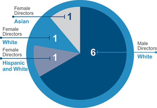 [MISSING IMAGE: pc_ethnicity-pn.jpg]