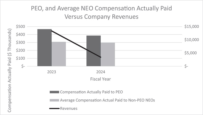 [MISSING IMAGE: bc_revenues-bw.jpg]