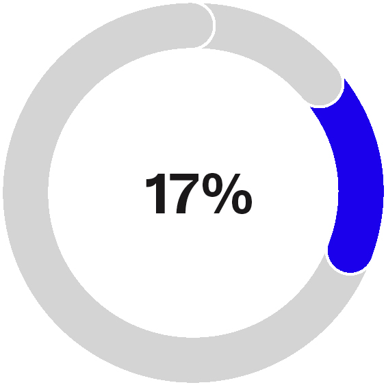 03 UIS_ExecComp_STI_CEO.jpg
