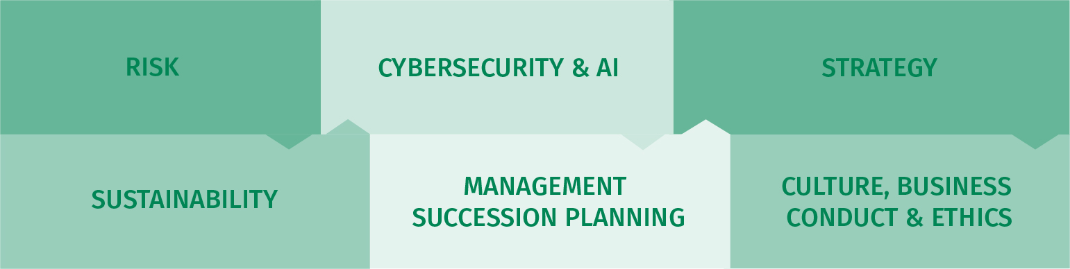 04 438491-3_gfx_boardoversight.jpg