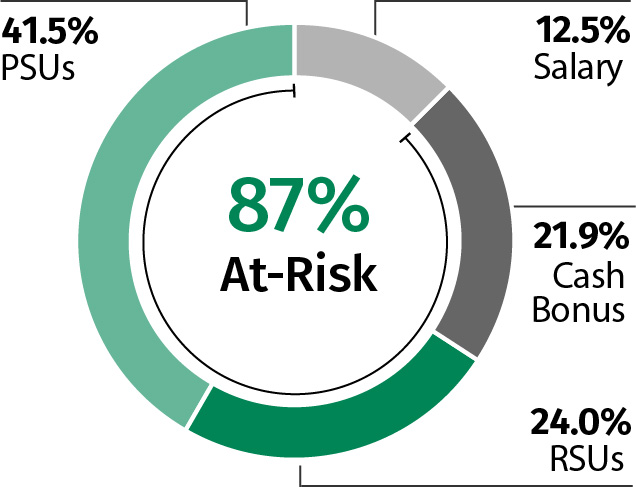 03 438491-3_chart_pie_payMix_CEO.jpg