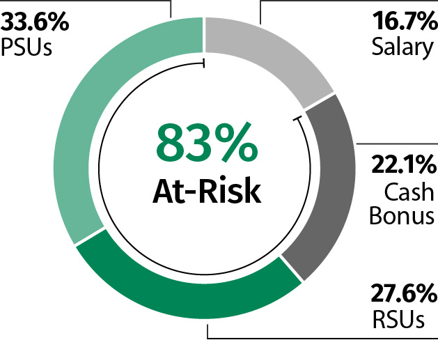 03 438491-3_chart_pie_payMix_NEO.jpg