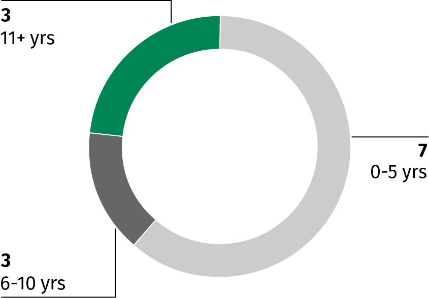 03_438491-3_chart_diversity&tenure_tenure.jpg