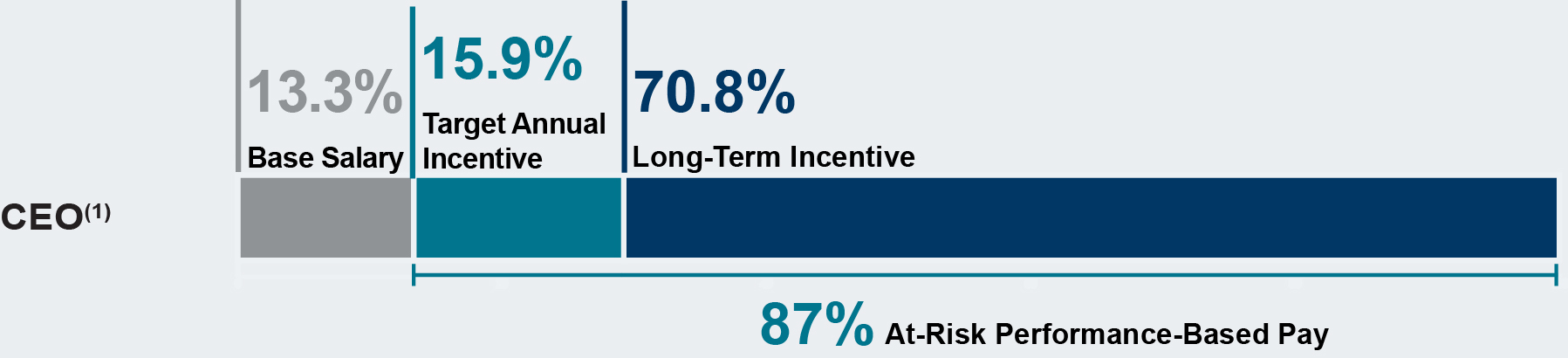 03_PRO011567_bars_totalcompensation with bg_CEO.jpg