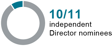 03_PRO011567_pie_independentdirnominees_independentdirectorNominees.jpg
