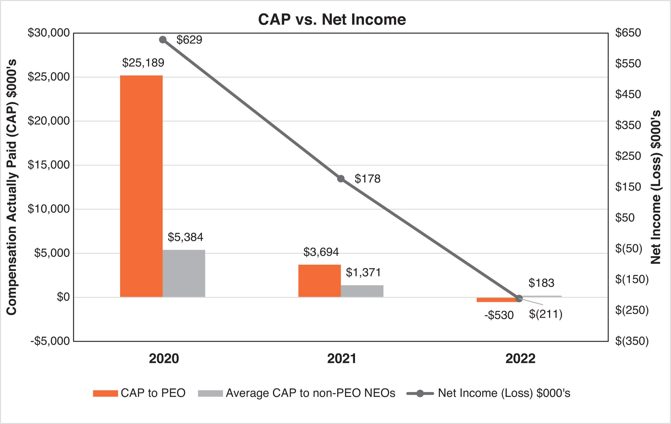 [MISSING IMAGE: bc_capnetincome-pn.jpg]