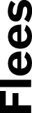 04_HOG_vertical_flees.jpg