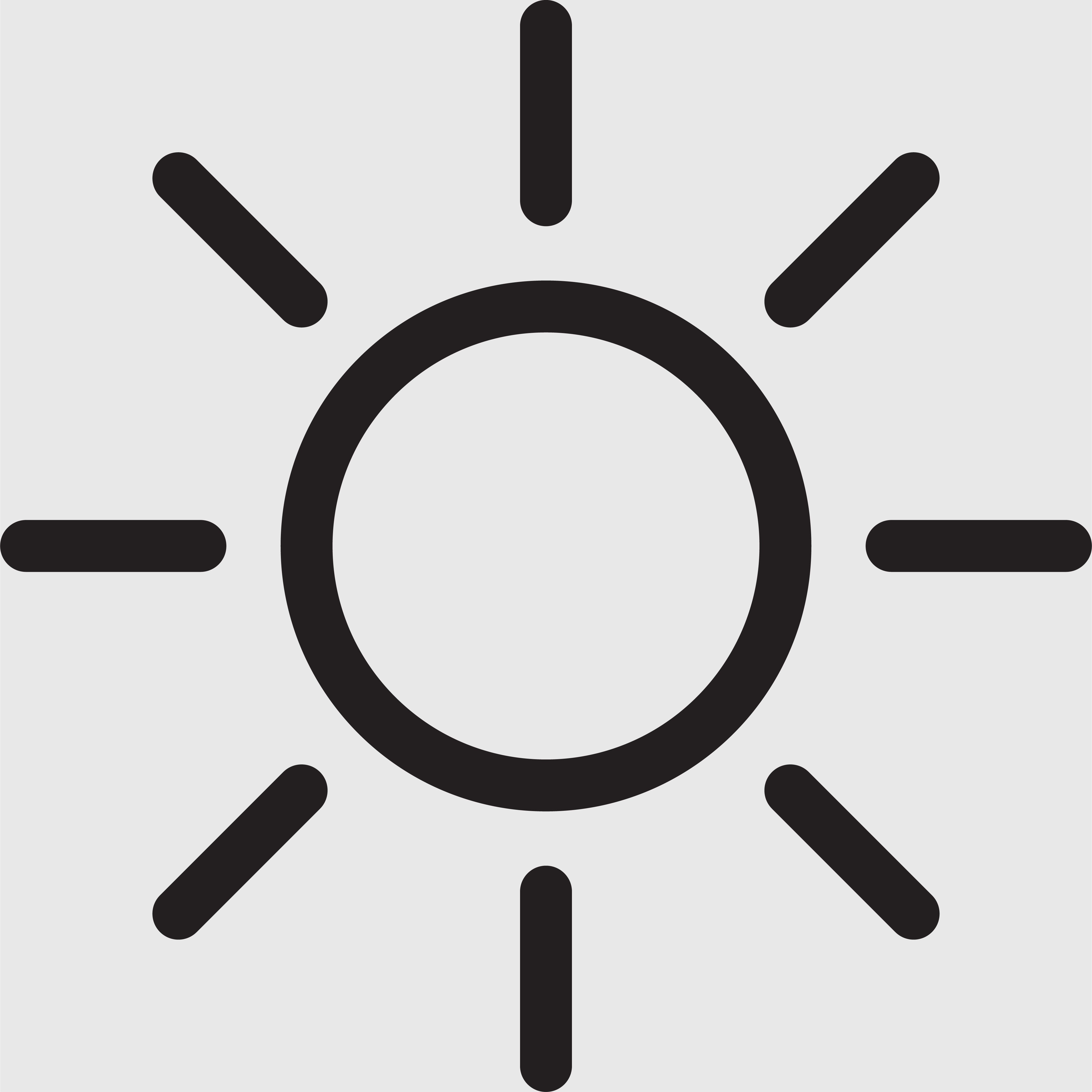 02_PRO015258_HOG_Summer.jpg