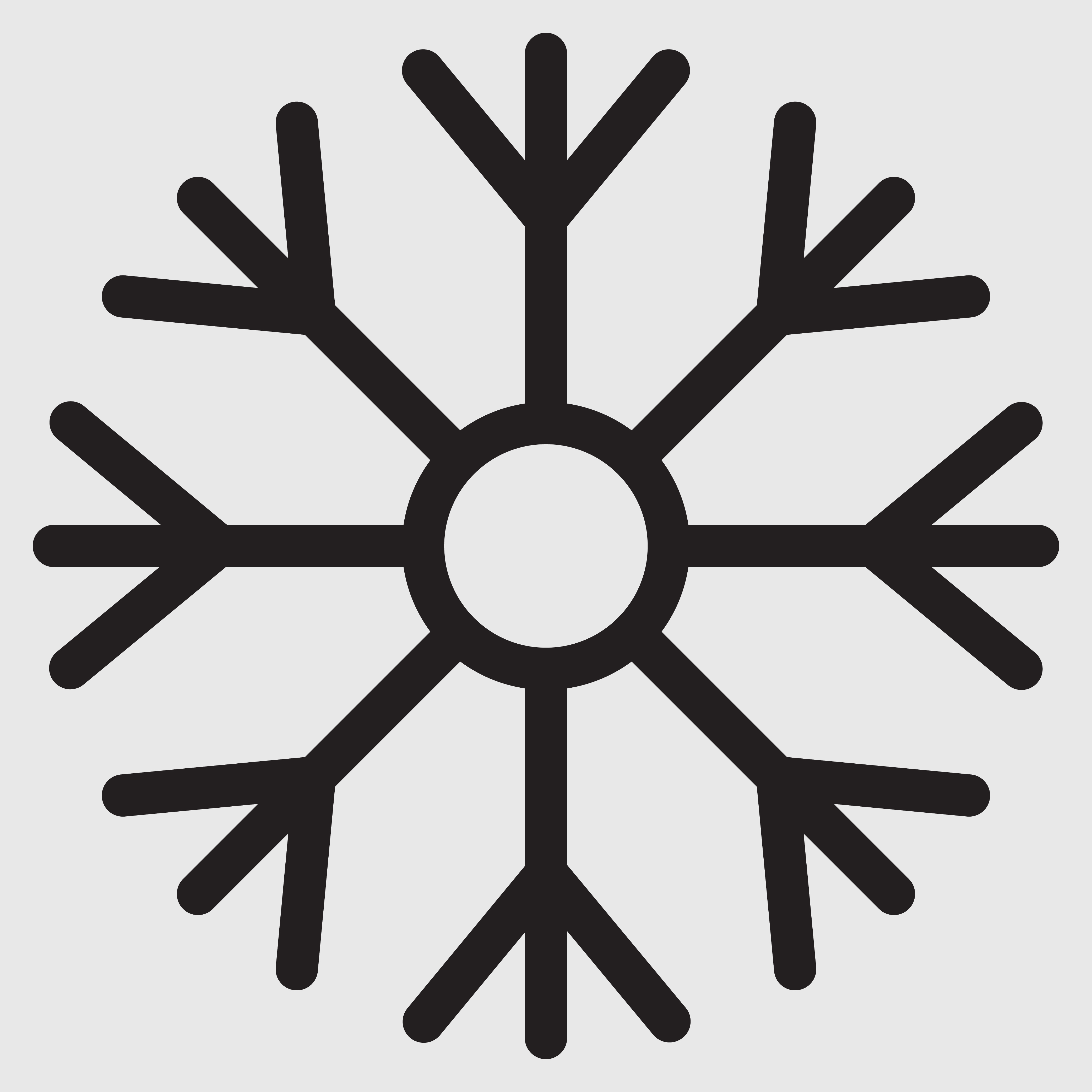 02_PRO015258_HOG_Winter.jpg