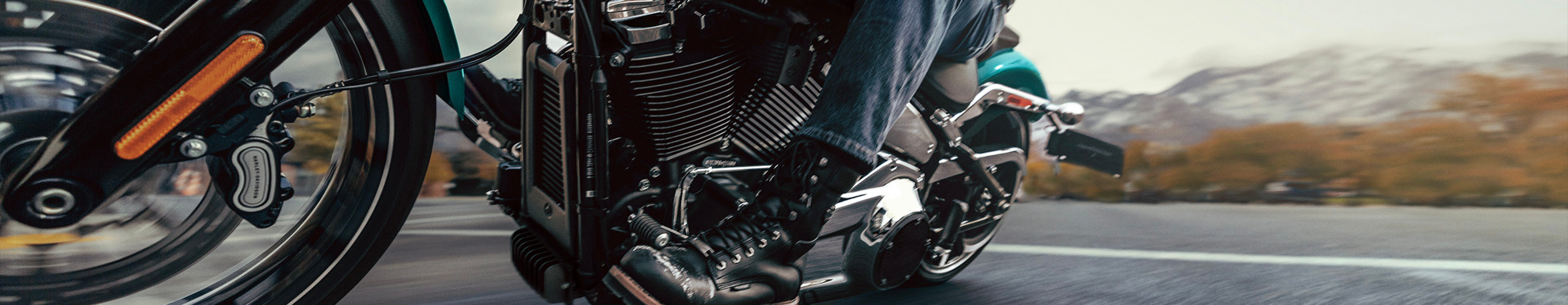 05_HOG_PXY_2026_EC_HEADER 2.jpg