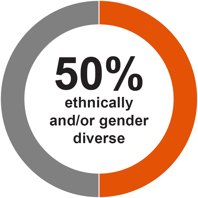 03_PRO015258_HOG_PieChartDiversity.jpg