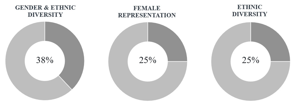 Gender and Ethnic Diversity.jpg