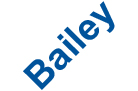gfx_director-nominees_name_bailey.jpg