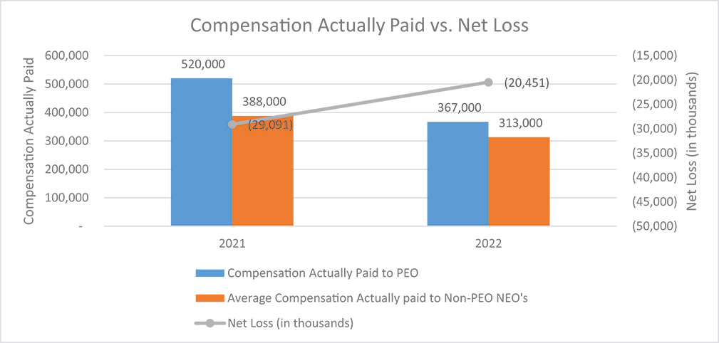 [MISSING IMAGE: bc_netloss-4c.jpg]