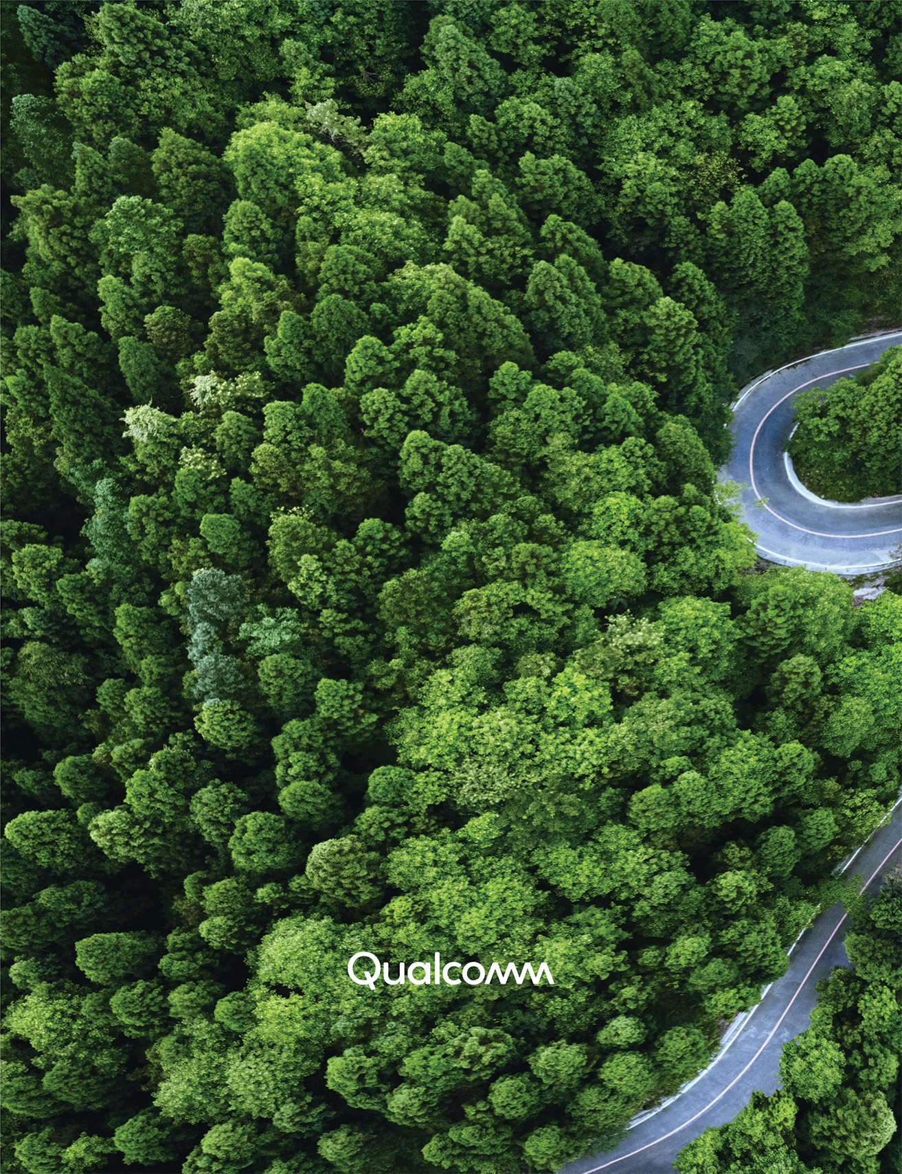 [MISSING IMAGE: cv_obc-4c.jpg]