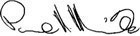 (SIGNATURE)