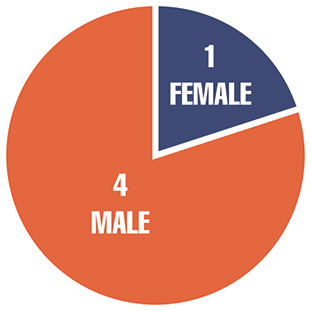 [MISSING IMAGE: pc_diverse-pn.jpg]