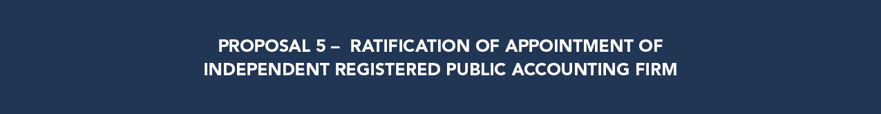 768231 SN 2025 Proxy Statement Banners_v2_5 (002).jpg