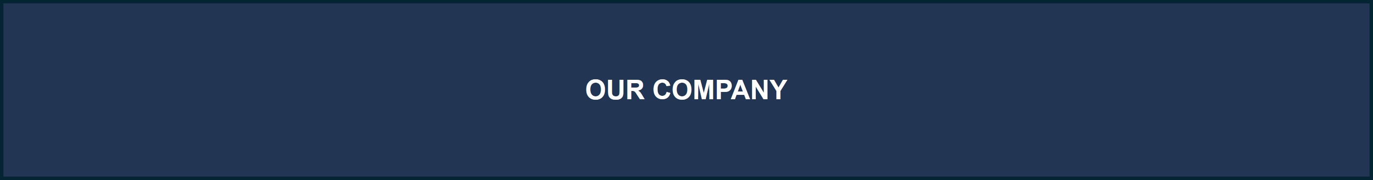Our Company.jpg