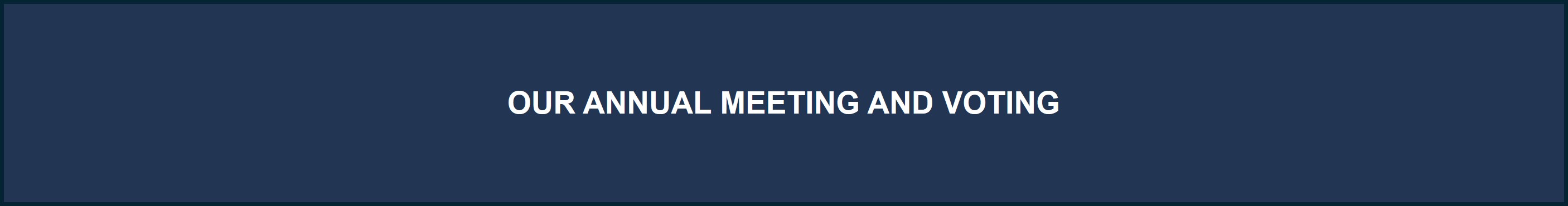 Our Annual Meeting and Voting.jpg