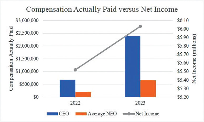 [MISSING IMAGE: bc_neticome-4clr.jpg]