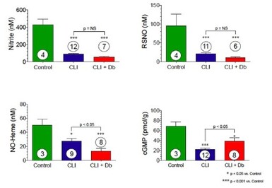 A comparison of different colored bars

AI-generated content may be incorrect.