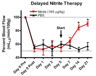 A graph showing the amount of nitrite therapy

AI-generated content may be incorrect.